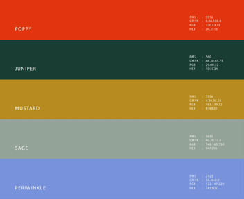 Brand Colors 101: Choose a Palette That Reflects Your Brand
