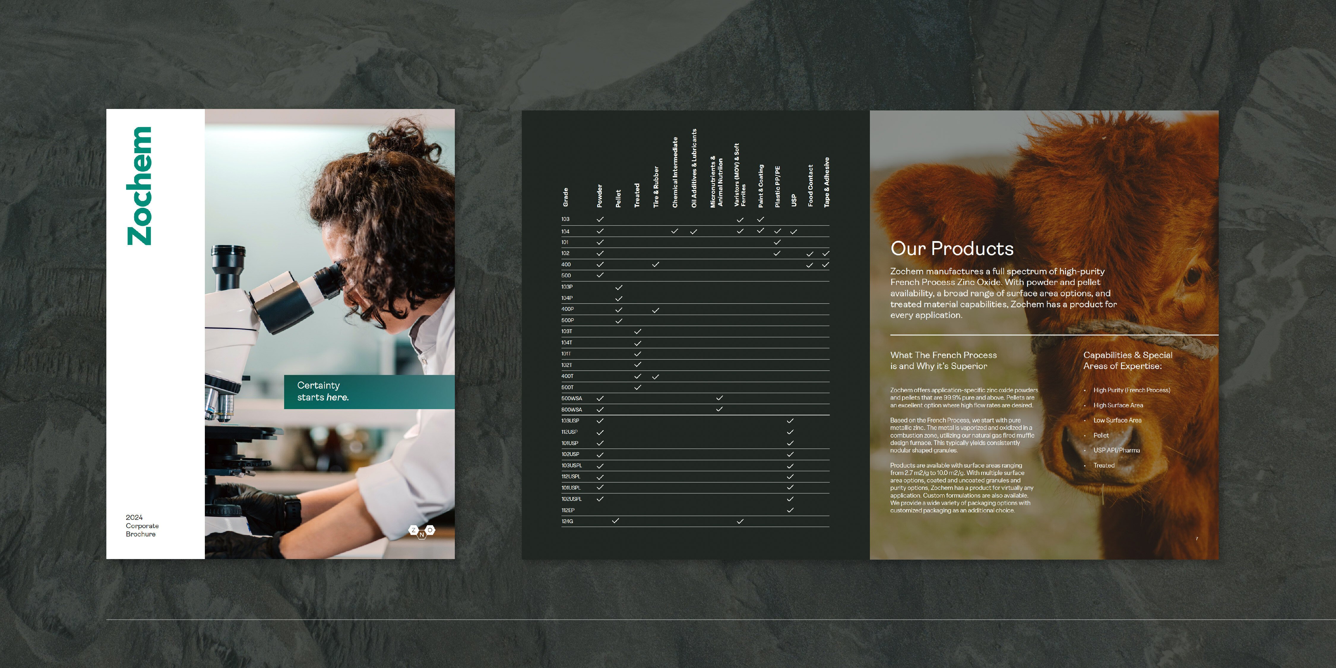 Zochem Case Study Slider-02