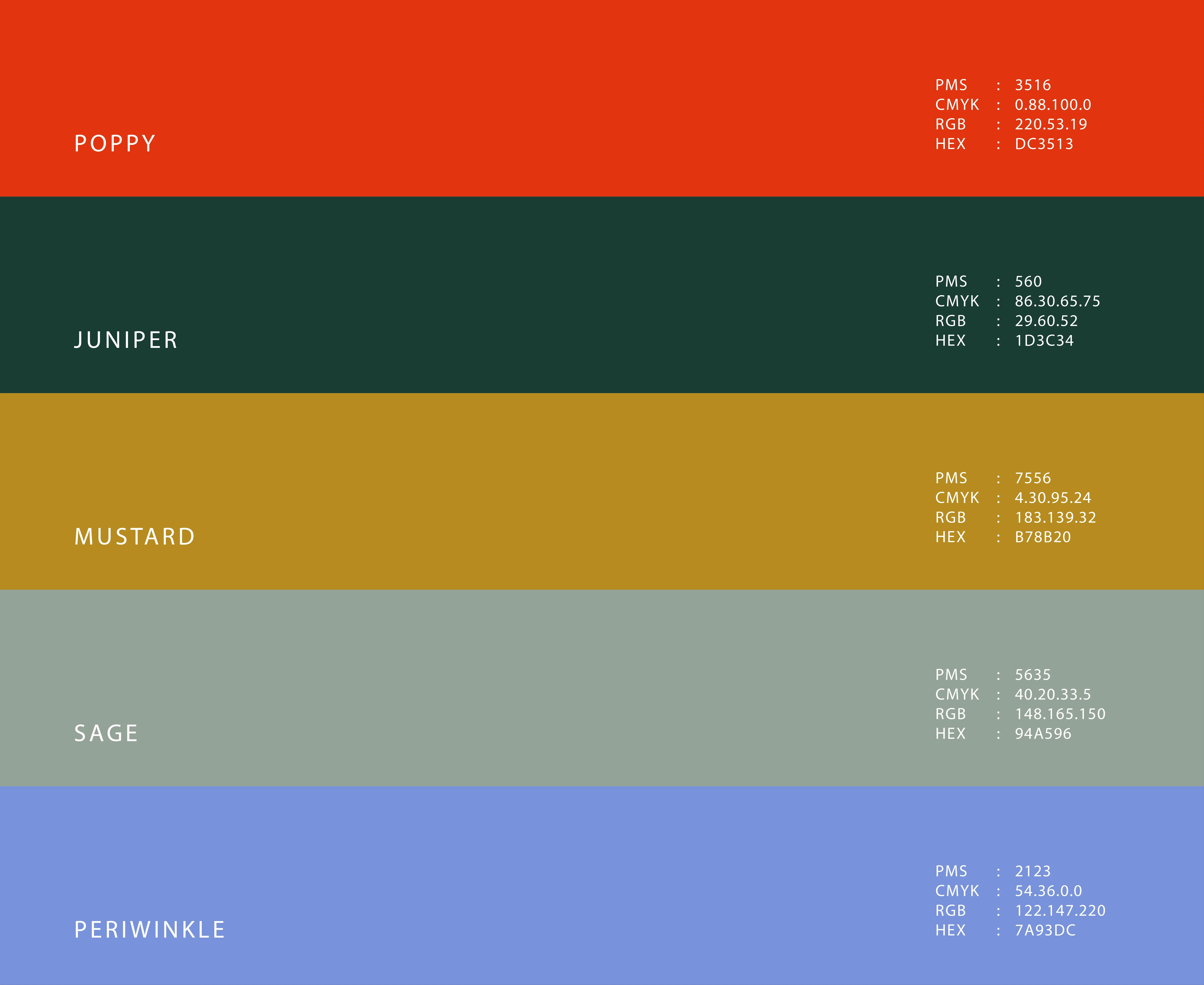 Brand Colors 101: Choose a Palette That Reflects Your Brand