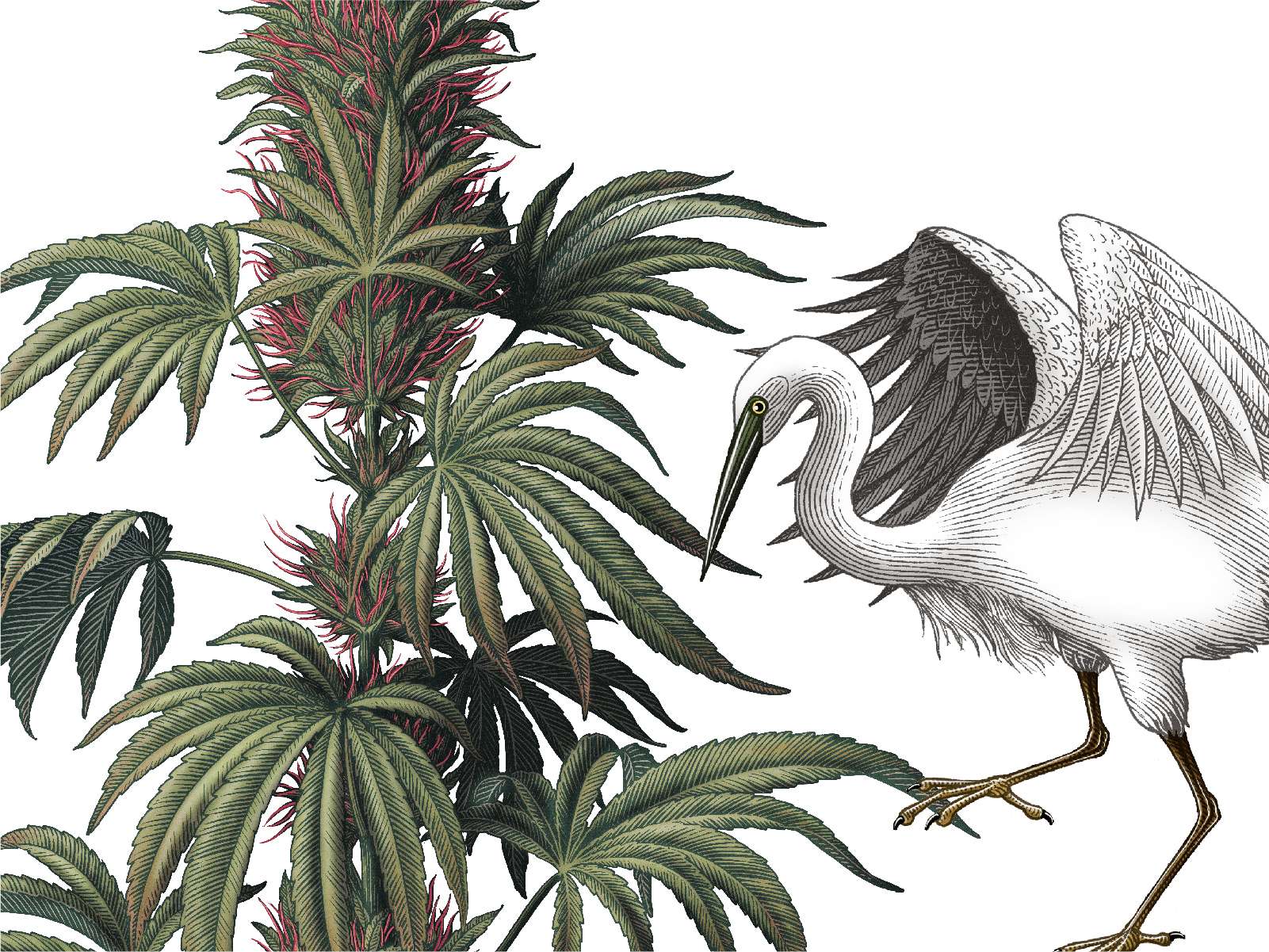 P3_BraggCanna_CS-03
