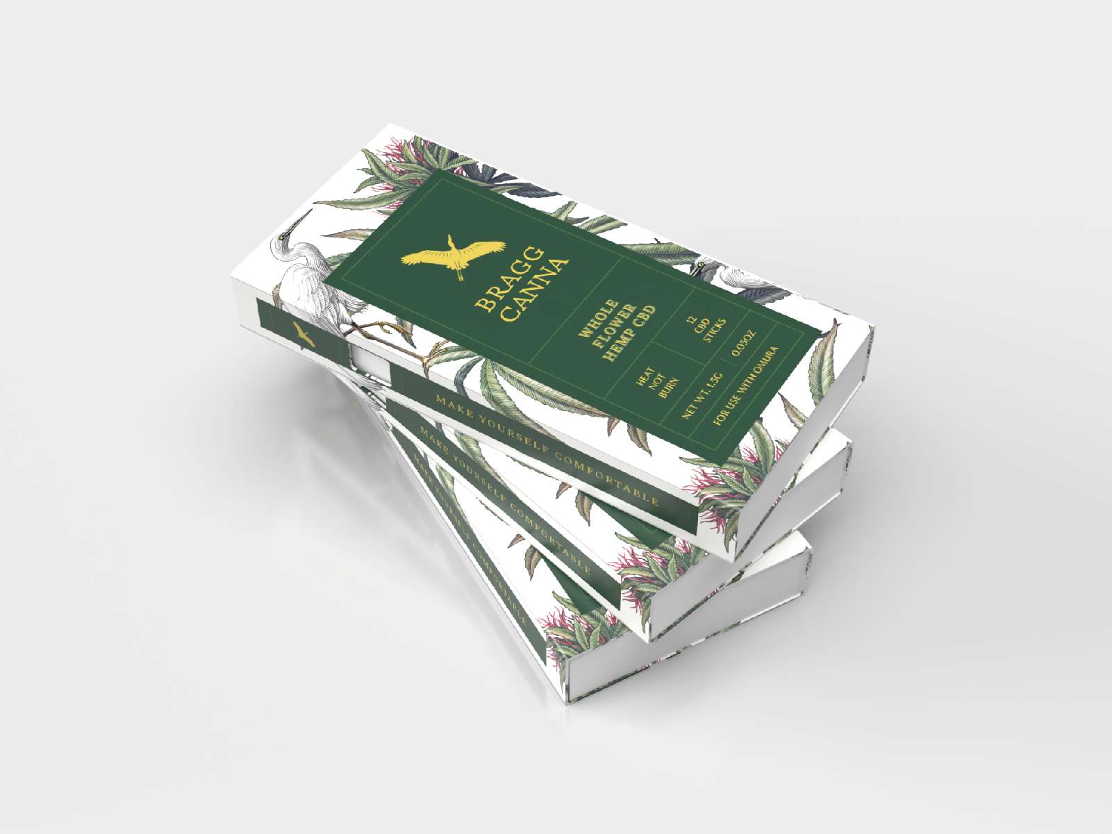 P3_BraggCanna_CS-11